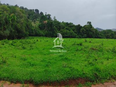 Terreno para Venda, em Carmpolis de Minas, bairro zona rural