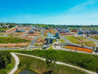 Lote para Venda, em Caldas Novas, bairro Cidade das Flores