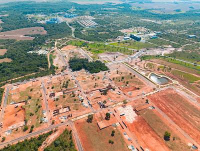 Lote para Venda, em Caldas Novas, bairro Cidade Universitria