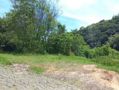 Terreno para Venda, em Santana do Livramento, bairro Centro