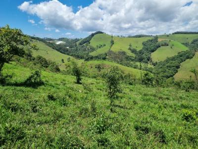 Fazenda para Venda, em Senador Amaral, bairro 091