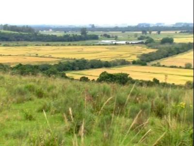 Fazenda para Venda, em Sentinela do Sul, bairro Zona Rural, 4 dormitrios, 2 banheiros