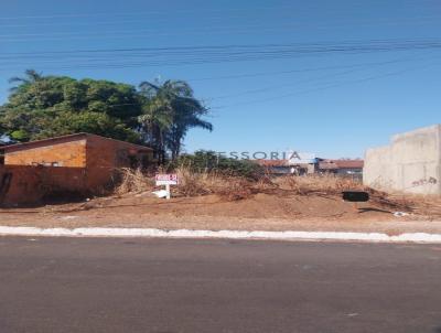 Terreno para Venda, em Jata, bairro Popular