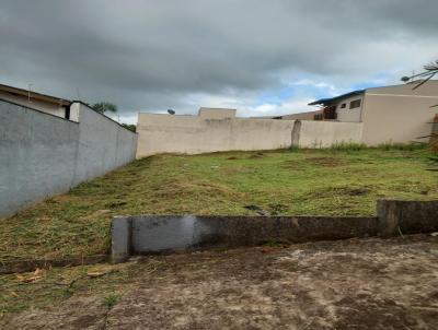 imagem-miniatura