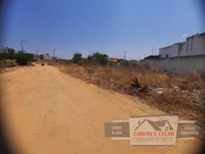 Terreno para Venda, em Patos, bairro Belo Horizonte