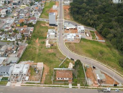 Terreno para Venda, em Araucria, bairro Capela Velha, 1 banheiro