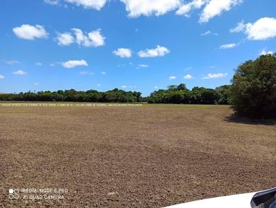 Fazenda para Venda, em Viamo, bairro RS