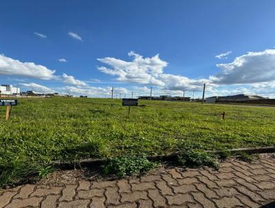 Terreno para Venda, em Santo ngelo, bairro Reserva das Misses