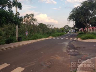 Terreno para Venda, em Ponta Por, bairro Ip ||