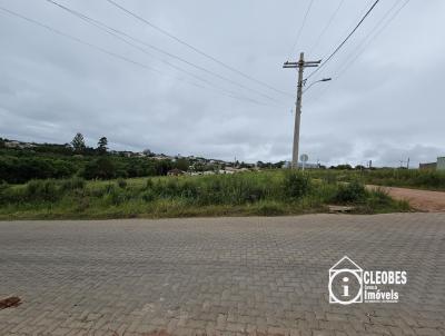 Terreno para Venda, em Encruzilhada do Sul, bairro Vila Xavier