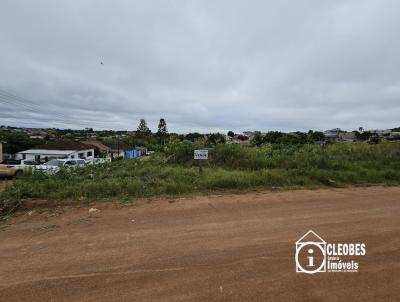 Terreno para Venda, em Encruzilhada do Sul, bairro Vila Xavier