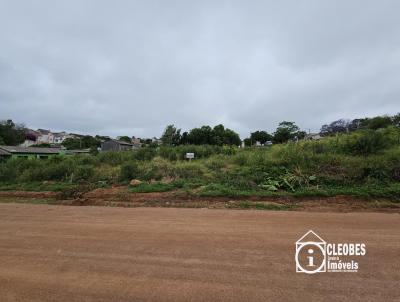 Terreno para Venda, em Encruzilhada do Sul, bairro Vila Xavier