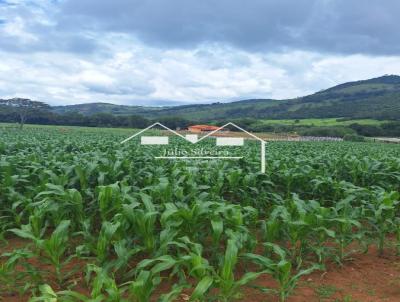 Fazenda para Venda, em Oliveira, bairro Zona Rural