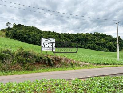 Stio para Venda, em Laranjeiras do Sul, bairro .