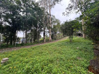 Terreno para Venda, em Florianpolis, bairro Cacup