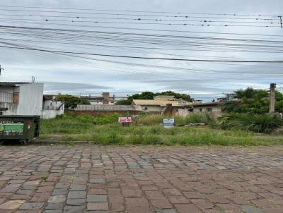 imagem-miniatura