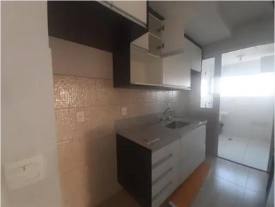 imagem-miniatura