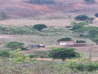 Fazenda para Venda, em Crislita, bairro zona rural, 10 dormitrios, 5 banheiros, 10 vagas