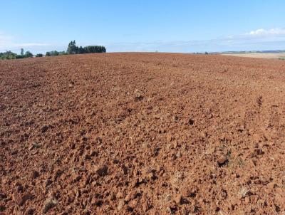 rea Rural para Venda, em Vale Verde, bairro INTERIOR