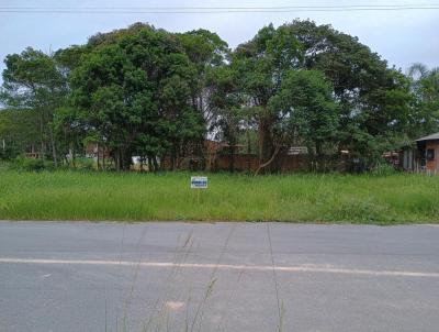 Terreno para Venda, em Barra Velha, bairro QUINTA DOS AORIANOS