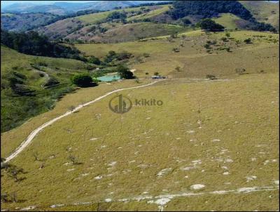 Terreno para Venda, em Bonfim, bairro Cristo Redentor