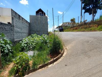 Lote para Venda, em Toledo, bairro Centro