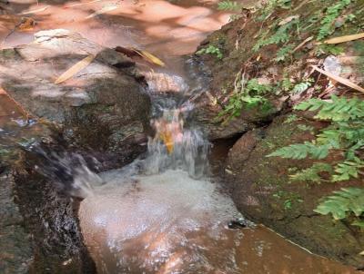 Stio / Chcara para Venda, em Pedra Bela, bairro rea Rural