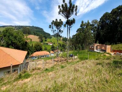 Terreno para Venda, em Toledo, bairro rea Rural