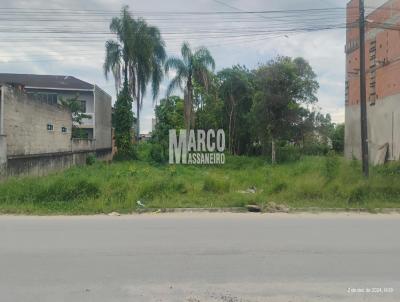 Terreno para Venda, em Balnerio Barra do Sul, bairro Centro