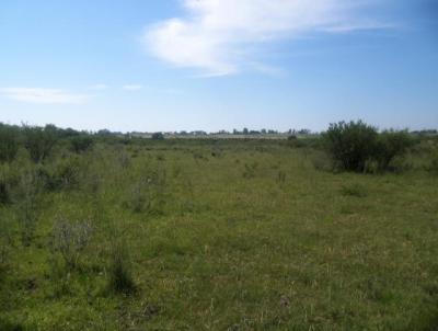 Terreno Comercial para Venda, em Alegrete, bairro Centro