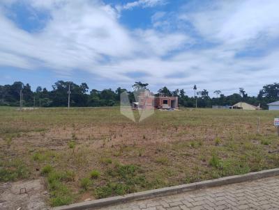 Terreno para Venda, em Santa Cruz do Sul, bairro Linha Santa Cruz