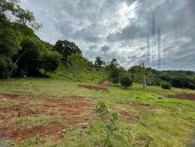 Chcara para Venda, em Frederico Westphalen, bairro Linha Dal Canton