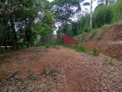 Terreno para Venda, em Miguel Pereira, bairro Plante Caf