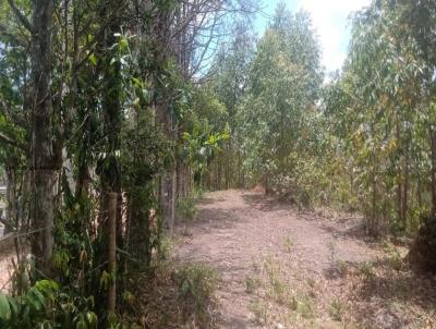 Stio / Chcara para Venda, em Igarat, bairro Morro Alto