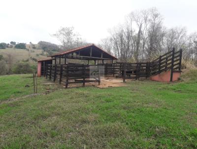 Stio para Venda, em So Toms de Aquino, bairro Agua Rasa, 4 dormitrios, 1 banheiro, 2 sutes