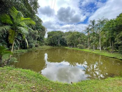 Stio para Venda, em Ascurra, bairro Guaricanas, 1 banheiro