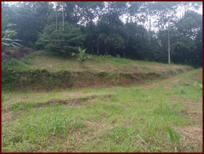 Terreno para Venda, em Rio dos Cedros, bairro Gloria