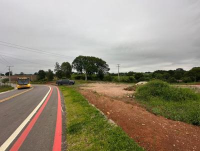 Terreno para Venda, em Araucria, bairro Centro