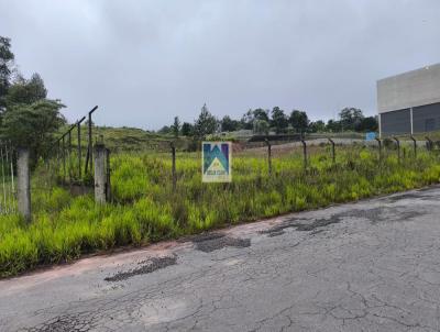 Terreno para Venda, em Mogi das Cruzes, bairro Fazenda Capelinha