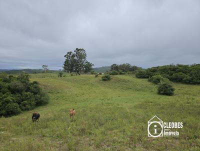 Stio / Chcara para Venda, em Encruzilhada do Sul, bairro Interior