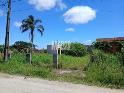 Terreno para Venda, em Balnerio Barra do Sul, bairro Pinheiros