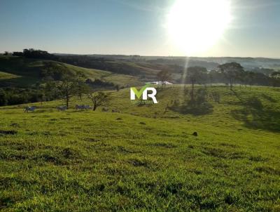 rea Rural para Venda, em Ipameri, bairro Zona Rural
