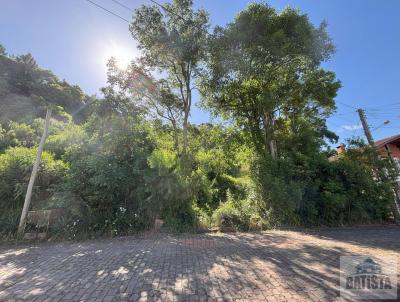 Terreno para Venda, em Sobradinho, bairro Centro