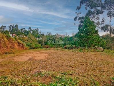 Terreno para Venda, em Aurora, bairro Santa Teresa