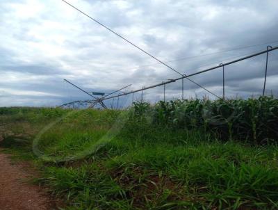 Fazenda para Venda, em Perdizes, bairro Fazenda para venda municipio de Perdizes MG