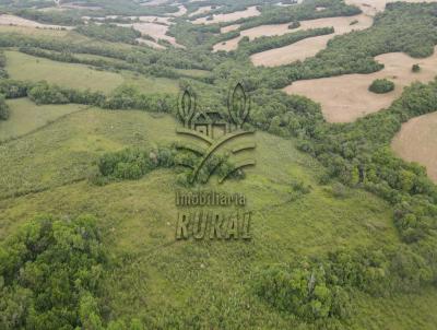 rea Rural para Venda, em Canguu, bairro 3 distrito