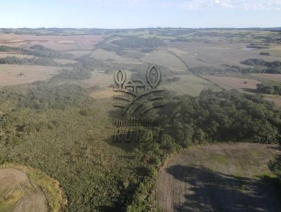 rea Rural para Venda, em Canguu, bairro 3 distrito