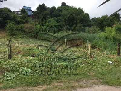 Terreno para Venda, em Canguu, bairro Centro