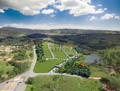 Terreno Comercial para Venda, em Pedra Bela, bairro 