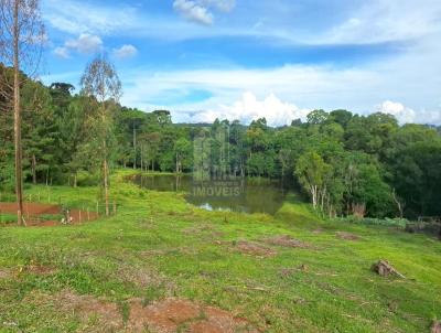 rea Rural para Venda, em Guarapuava, bairro 8 km de Guarapuava - PR no Guairac, 3 dormitrios, 1 banheiro, 1 vaga